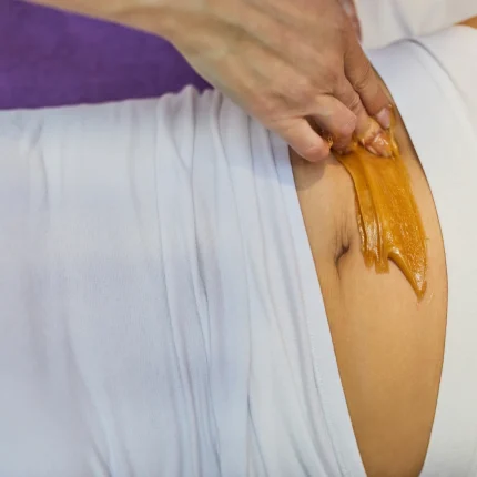 Stomach